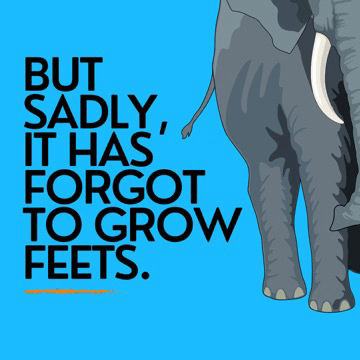 Elephant Feet GIF - Elephant Feet GIFs