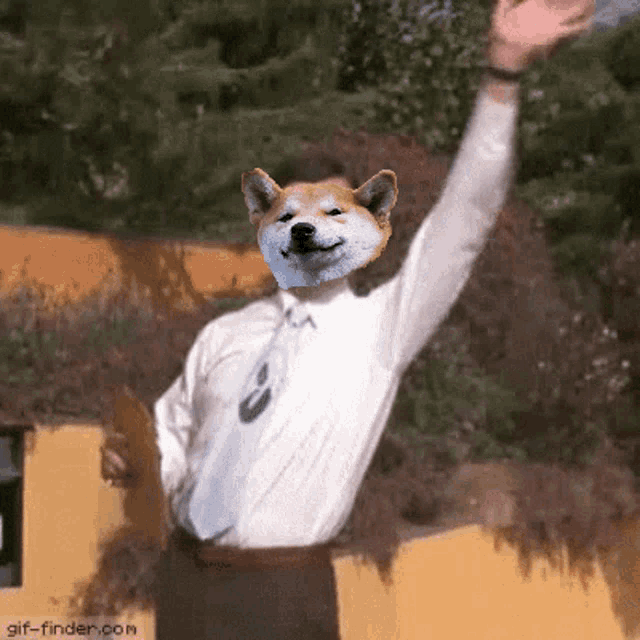 a man in a white shirt and tie with a dog 's face on his face
