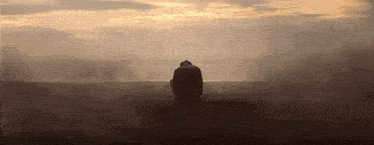 a person kneeling down in a field with a cloudy sky behind them