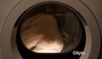 Turkey In A Dryer GIF - Dryer Cooking Turkey GIFs