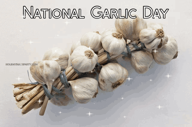 a bunch of garlic with the words national garlic day