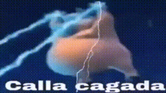 Calla Cagada Lightning GIF - Calla Cagada Lightning Pig GIFs