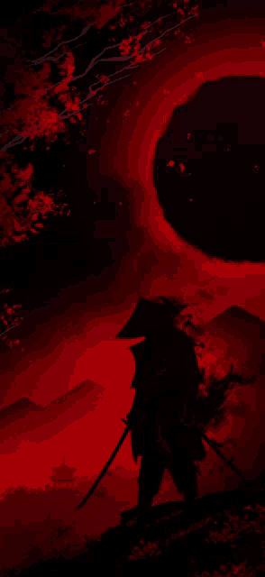 a samurai with a sword and a hat is standing in the dark