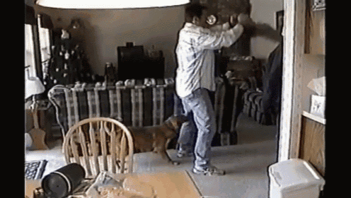 Dog Helps Dad With A Diaper Change GIF - Funny Dogs Baby GIFs