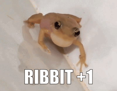 a picture of a frog with the words ribbit +1 above it