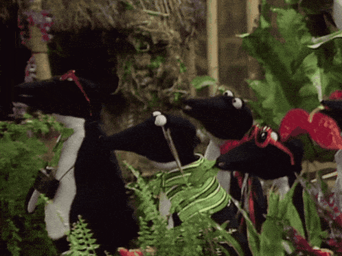 a group of stuffed penguins are standing next to each other in a garden