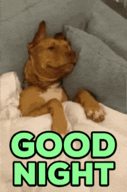 a dog is laying on a bed with the words " good night " on the bottom
