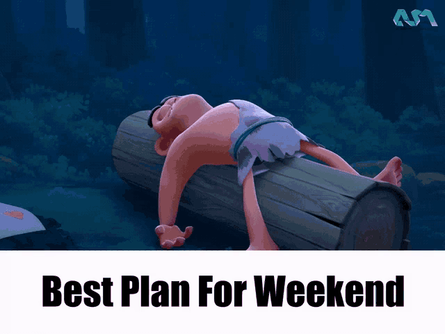a man laying on a log with the words best plan for weekend