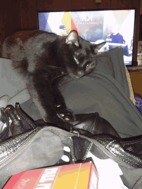 a black cat is laying on a person 's lap in front of a tv that says 101