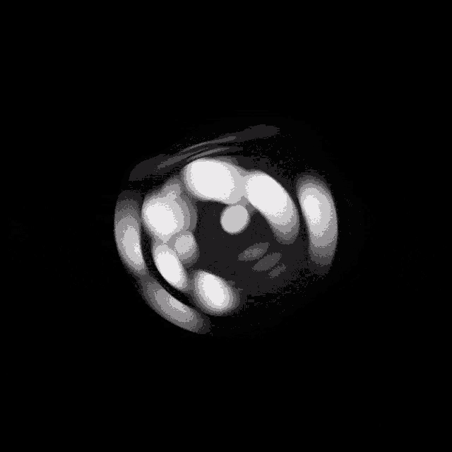 a black and white photo of a sphere with a white circle in the center