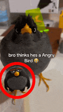 a picture of an angry bird with a caption that says bro thinks he 's a angry bird
