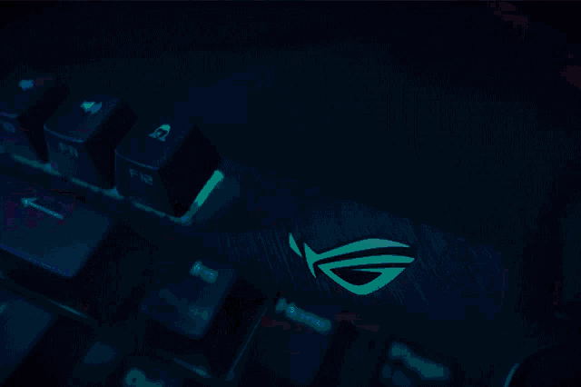 a close up of a person typing on a keyboard with the letters x and y visible
