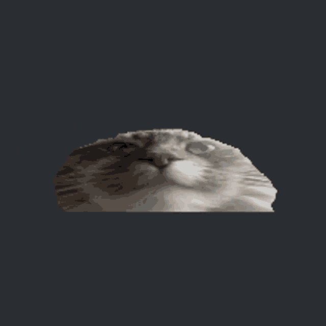 a pixelated image of a cat 's face with a gray background