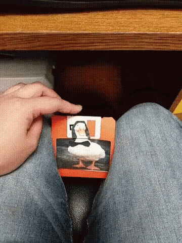 Duck Floppy GIF - Duck Floppy Disk GIFs