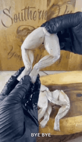 a person wearing black gloves is holding a frog 's legs in front of a sign that says southern