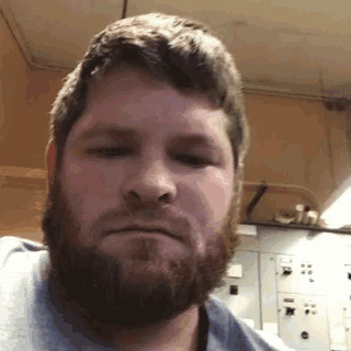 a man with a beard wearing a blue shirt