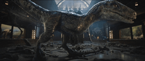 a large dinosaur is walking through a museum filled with bones