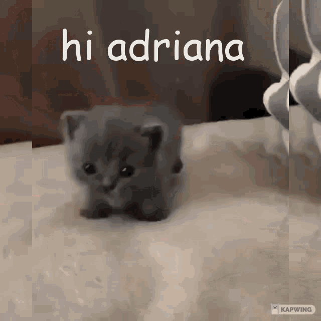 Adriana GIF - Adriana GIFs