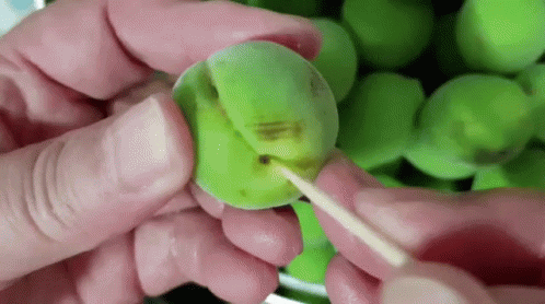 매실 초록 손질 이쑤시게 과일 GIF - Plum Green Plum Sugar GIFs