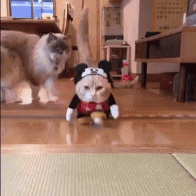 a cat wearing a mickey mouse costume is walking on the floor .