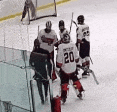 a hockey player with the number 20 on their jersey