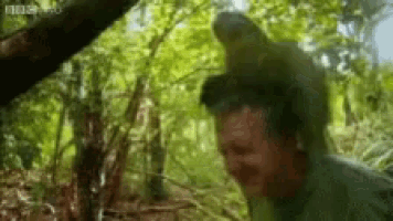 a monkey is sitting on top of a man 's head .