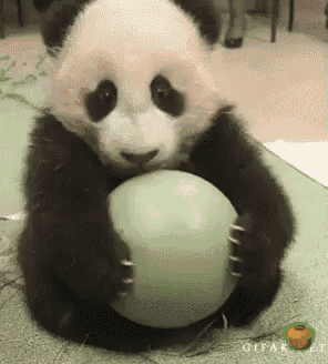a panda bear holding a green ball in its paws
