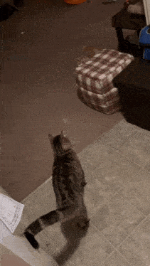 Snickers George GIF - Snickers George Baby George GIFs