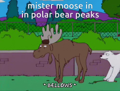 Mister Moose Mister GIF - Mister Moose Mister Moose GIFs