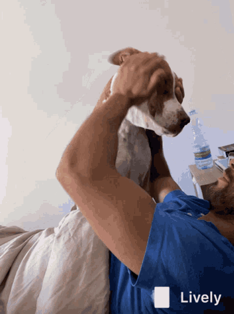 a man laying on a bed with a dog and a bottle of lively water