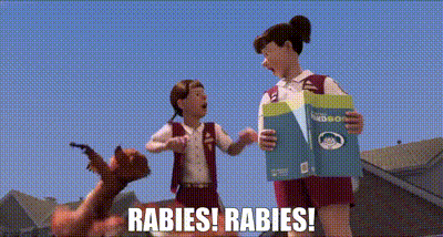 Rabies Over The Hedge GIF - Rabies Over The Hedge Crazy Rabid Squirrel GIFs