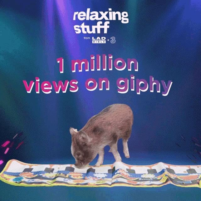 Relaxing Stuff 1million Views GIF - Relaxing Stuff 1million Views Pig GIFs