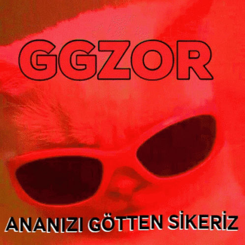 Ggzor GIF - Ggzor GIFs