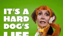 Dazed And Confused Stoned GIF - Dazed And Confused Stoned Pelosi GIFs