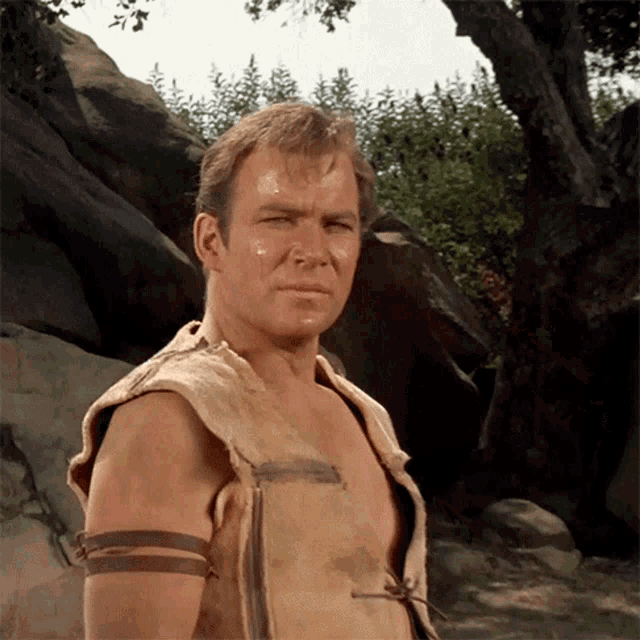 Serious Stare Captain Kirk GIF - Serious Stare Captain Kirk William Shatner GIFs