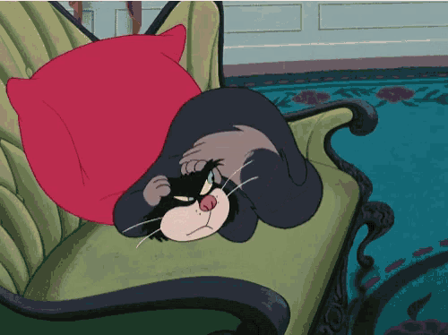 a black cat is laying on a green couch with a red pillow