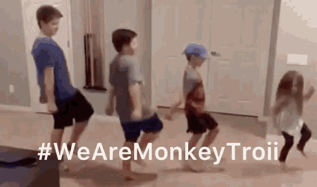 We Are Monkey Troii GIF - We Are Monkey Troii GIFs