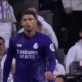 a soccer player wearing a purple jersey with emirates fly better on it is standing in front of a crowd .