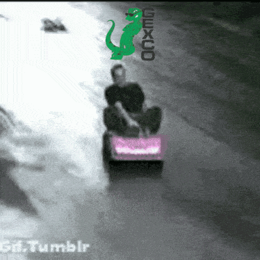 a gif of a person sledding down a hill with a green lizard on top