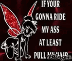 a picture of a fairy with the words if your gonna ride my ass at least pull my hair .