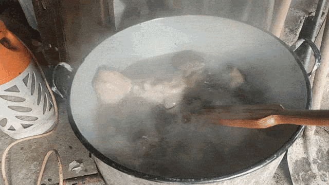 Svinjska Glava Se Kuha Cooking Pig Head GIF - Svinjska Glava Se Kuha Cooking Pig Head GIFs