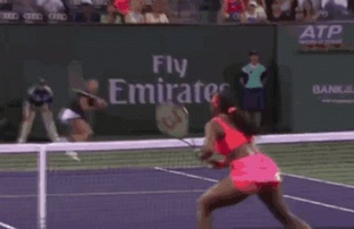 Serena Williams Ouch GIF - Serena Williams Ouch Fall GIFs