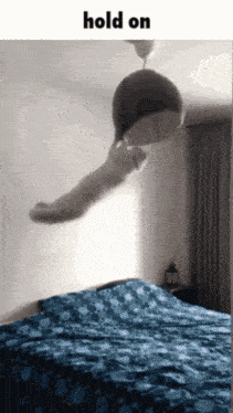 a picture of a cat hanging from the ceiling with the words hold on below it