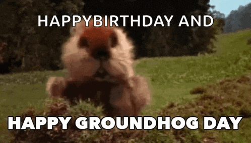 a groundhog is digging a hole in the grass .