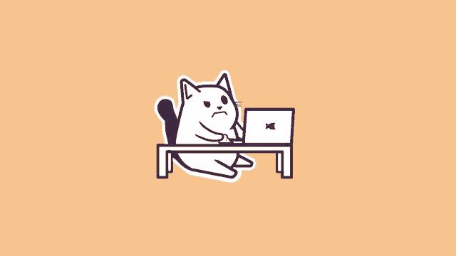 a cat is sitting at a desk with a laptop on it