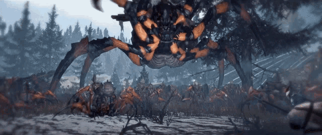 a large orange and black spider is standing in the middle of a field