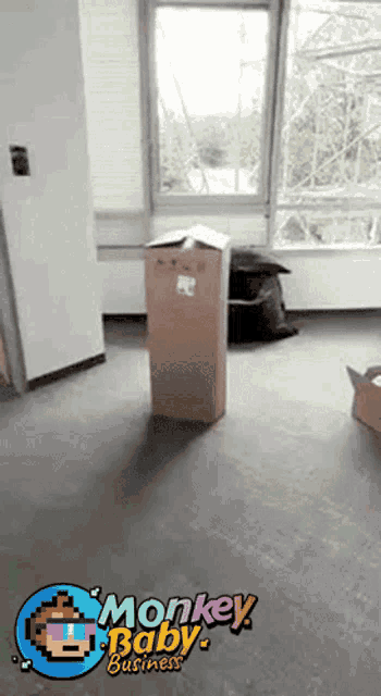a cardboard box sitting in a room with monkey baby business written on it