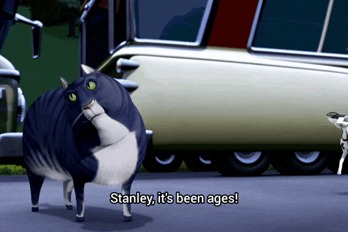 a fat black and white cat with the words stanley it 's been ages below it