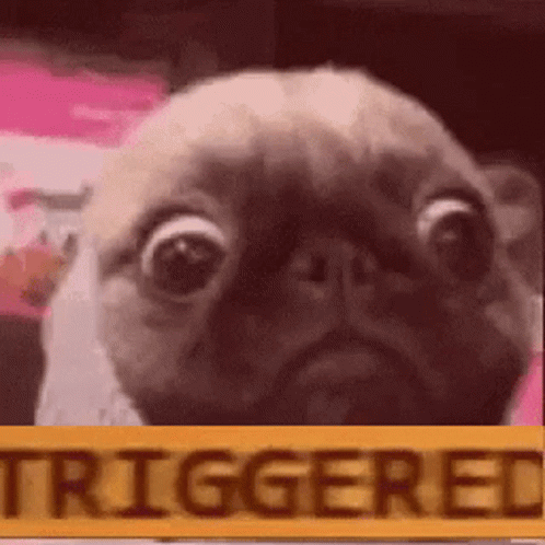 Dog Triggered GIF - Dog Triggered I Cant Even GIFs