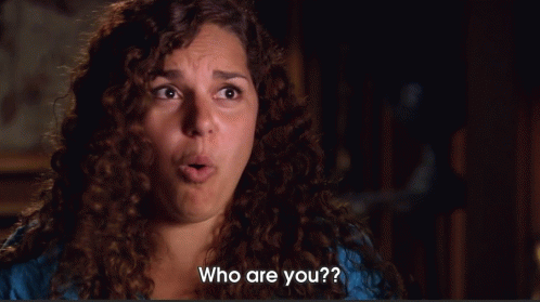 Who Are You? GIF - Whodunnit Abc Shocking GIFs